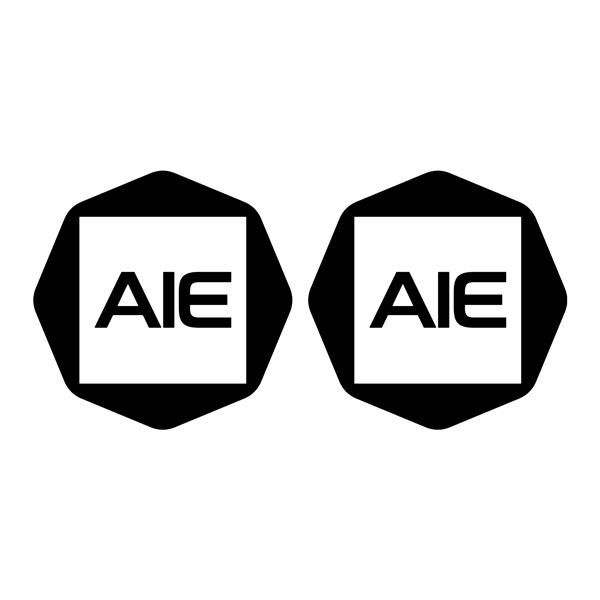 Adesivi per camper: Logo Aie