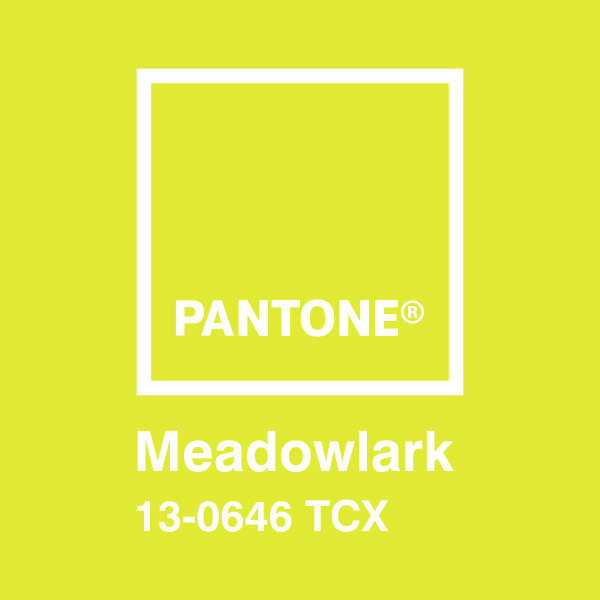 Adesivi Murali: Pantone Meadowlark