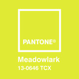 Adesivi Murali: Pantone Meadowlark 3