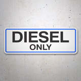 Adesivi per camper: Diesel Only 3