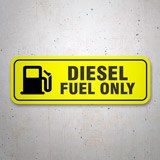 Adesivi per camper: Diesel fuel only 3